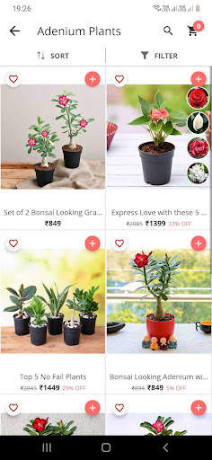 Nurserylive screenshot 3