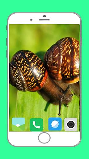 Snail Wallpaper Full HD screenshot 6