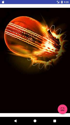 Cricket Wallpapers HD & Motivation screenshot 2