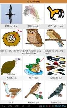 Learn Chinese Words скриншот 7