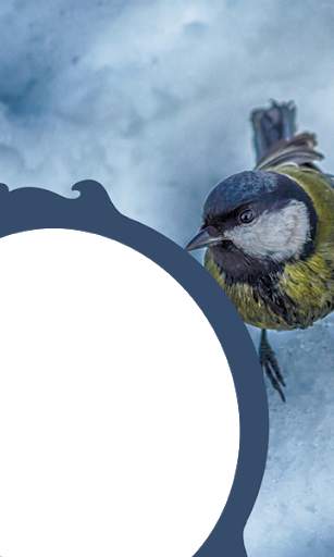 Birds Photo Frames HD स्क्रीनशॉट 10