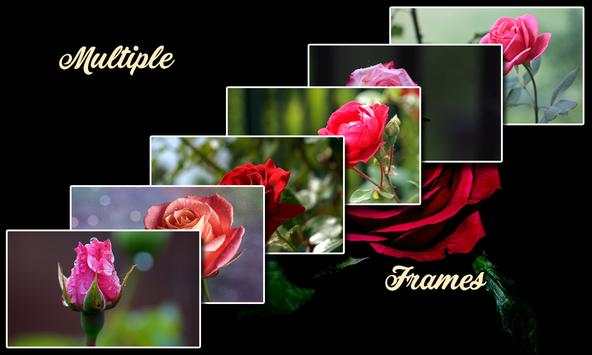 Rose Cover Photo Frames screenshot 1