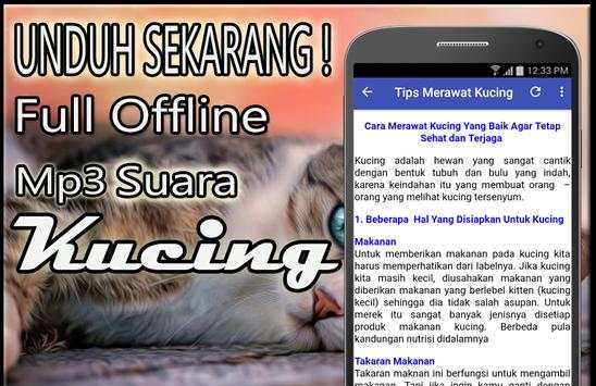 Suara Kucing Mp3 Offline screenshot 4