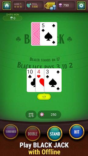Blackjack Offline screenshot 1