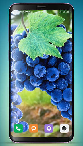 Grapes Wallpaper HD screenshot 4