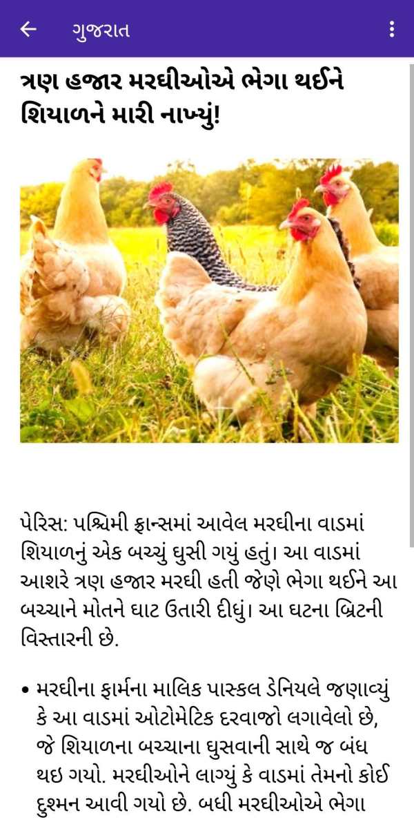 Gujarati Samachar Gujarat News screenshot 5