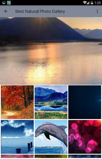 Green HD Nature Photo Wallpaper screenshot 2