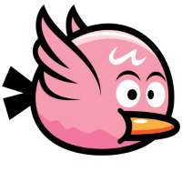 Bird Pica