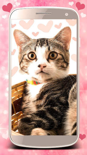 Cute cats live wallpaper. Cute dogs, unicorns screenshot 8