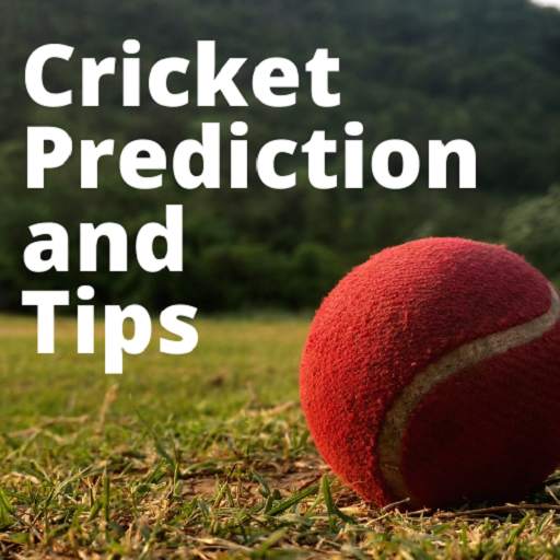 Dream Team 11 Cricket 1.1
