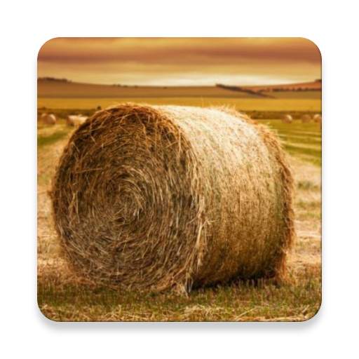 Agriculture Engineering 3.0