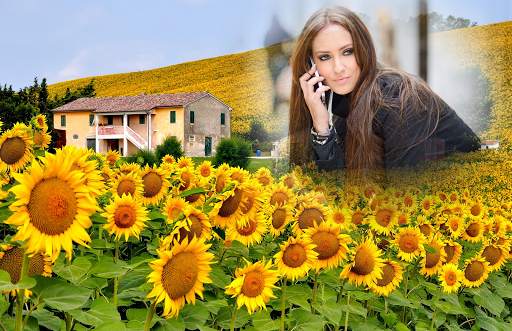 Sunflower Photo Frames 5 تصوير الشاشة