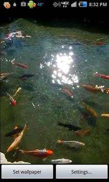 Pond of Fish screenshot 1