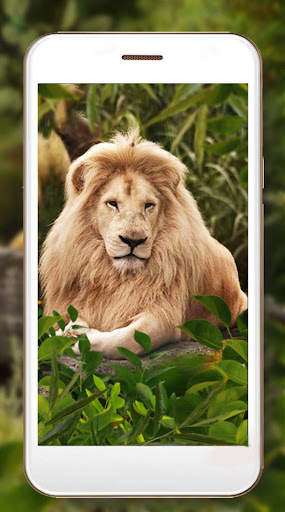 Lion King Jungle screenshot 3