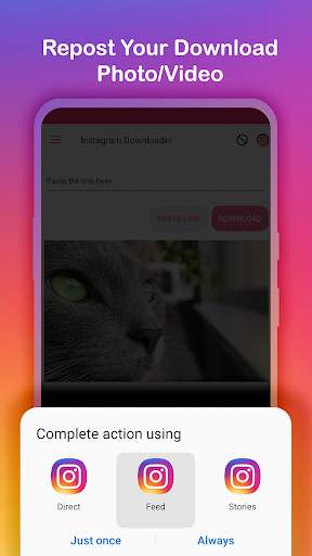 Photo & Video Downloader for Instagram - IG Repost screenshot 3