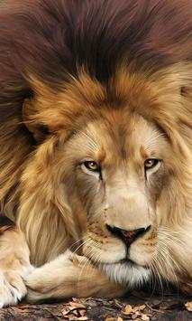 Lion screenshot 2