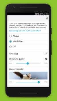 Best Puffin Web Browser Tricks screenshot 5