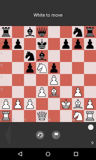 Puzzles de xadrez screenshot 4