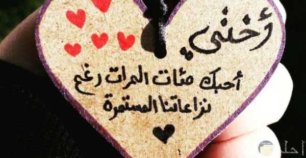 حالات عن الأخت والاخ فيديو بدون نت 1 تصوير الشاشة