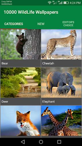 10000 WildLife Wallpapers screenshot 1