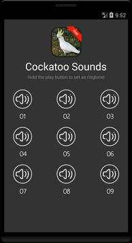 Cockatoo Bird Sounds screenshot 4