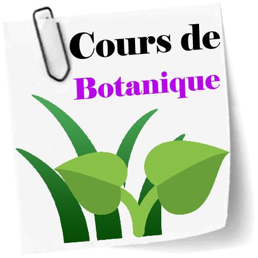 Cours de Botanique 2.5