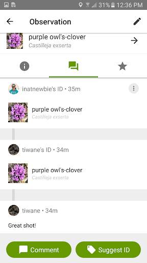 iNaturalist screenshot 4