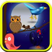 Birds Sounds Original For Kids 1.2