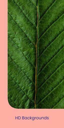 Wallpapers: Wallpaper Changer screenshot 6