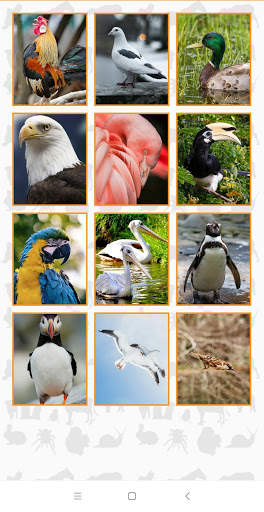 Animal Puzzle Game screenshot 4