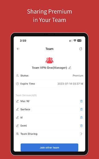 Team VPN screenshot 9