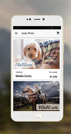 Auto Print screenshot 3