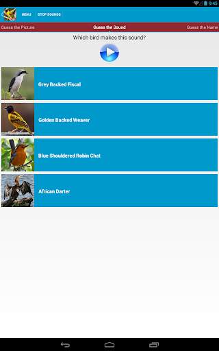 African Birds Sounds Free screenshot 21