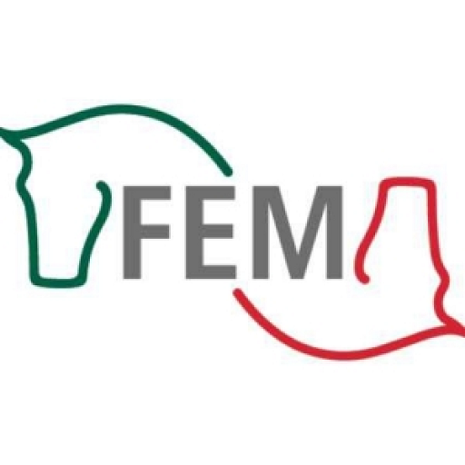 FEM App icon