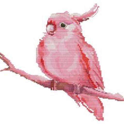 Botan Birds 1.0