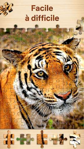Puzzles - jeux de puzzle screenshot 3