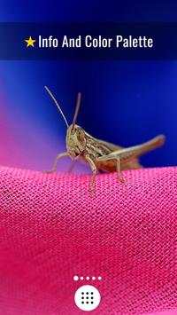 Macro Wallpapers screenshot 7