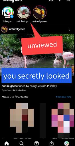 Downloader for Insta, Tiktok: Photo and Video screenshot 6