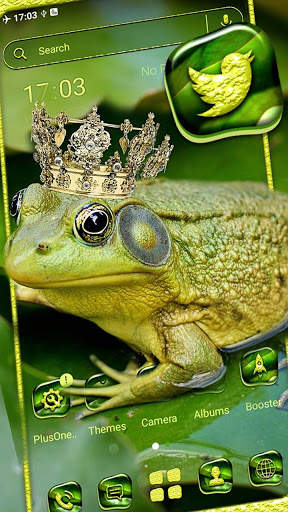 Frog King Theme screenshot 1