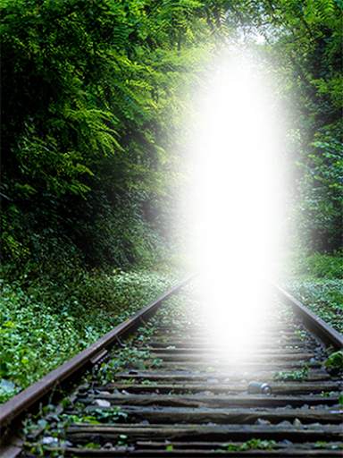 Nature Photo Frames HD screenshot 11
