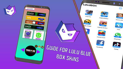 Guide  for Lulu Blue box skins screenshot 1