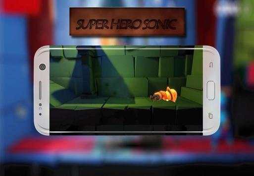 Hero Sonic fighter screenshot 3