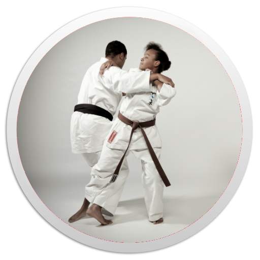 Karate Basics 1.3