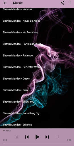 Shawn Mendes Music and Lyrics screenshot 3