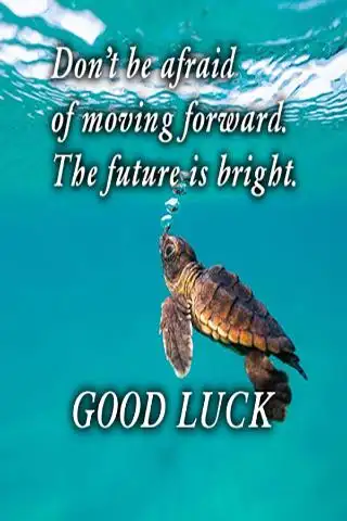 Good Luck Wishes screenshot 1