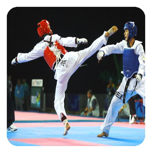 Taekwondo icon