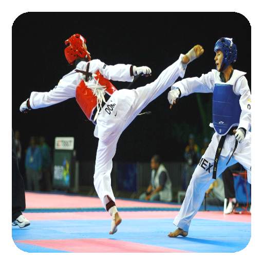 Taekwondo 3.2