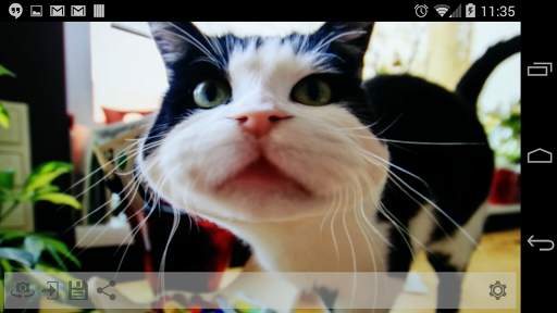Funny Mirror Free screenshot 2