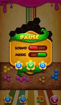 Hexa PuZZle BloCk KinG screenshot 6