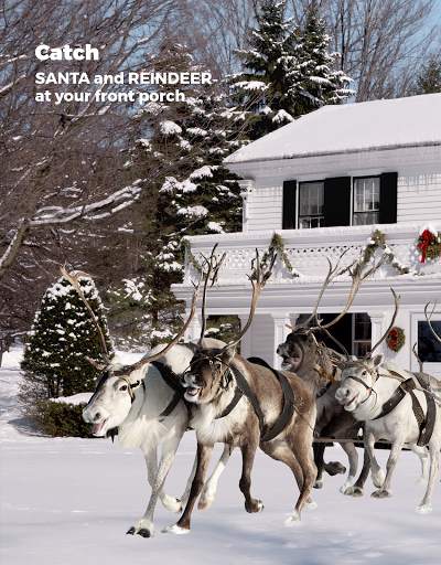 Catch Santa in My House screenshot 17